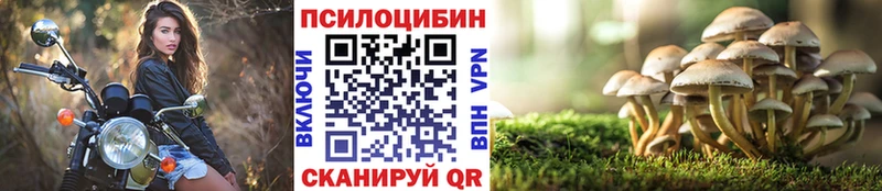 Псилоцибиновые грибы Magic Shrooms  Фёдоровский 